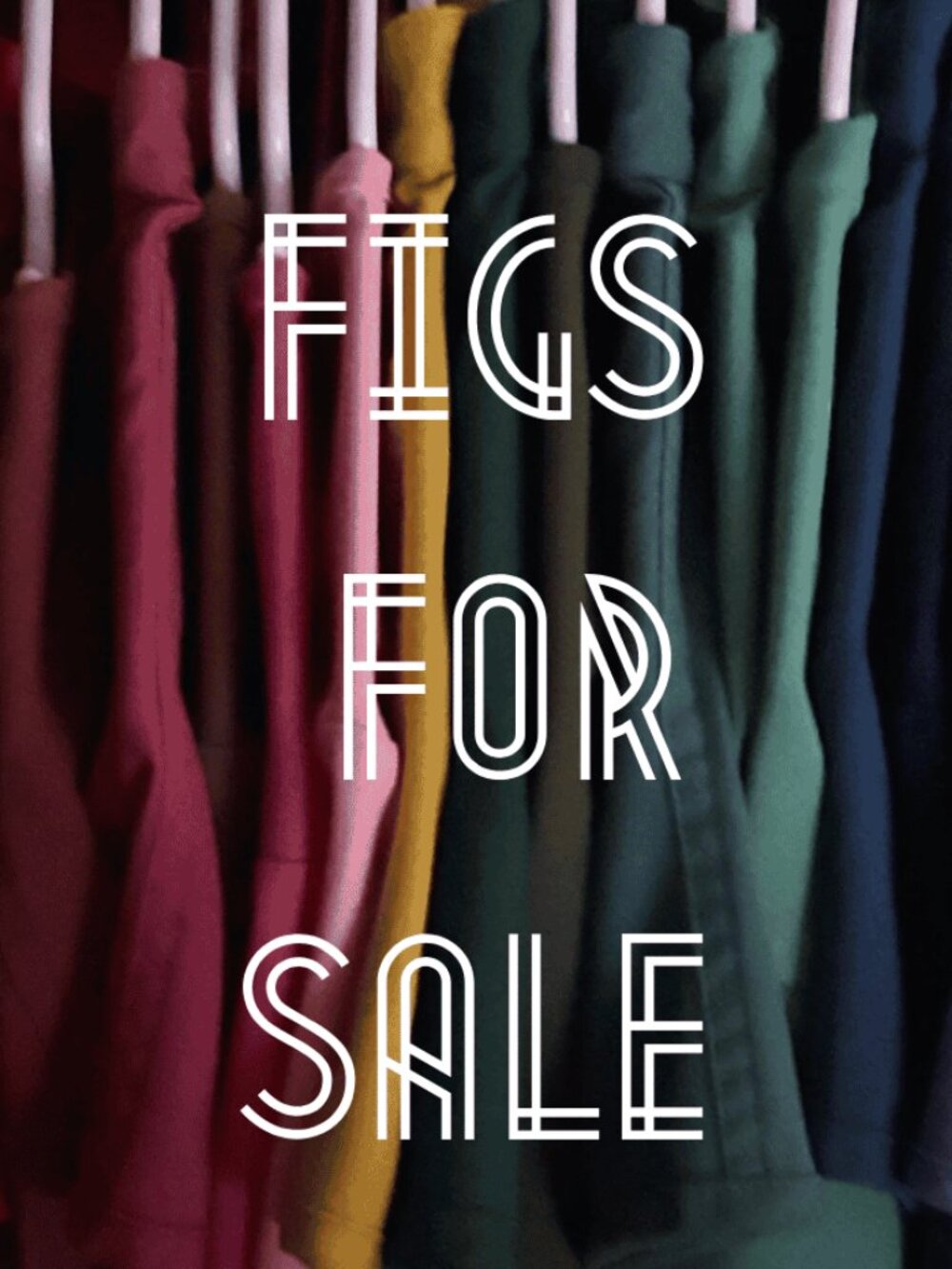 Figs In Closet - Picture 1 of 1